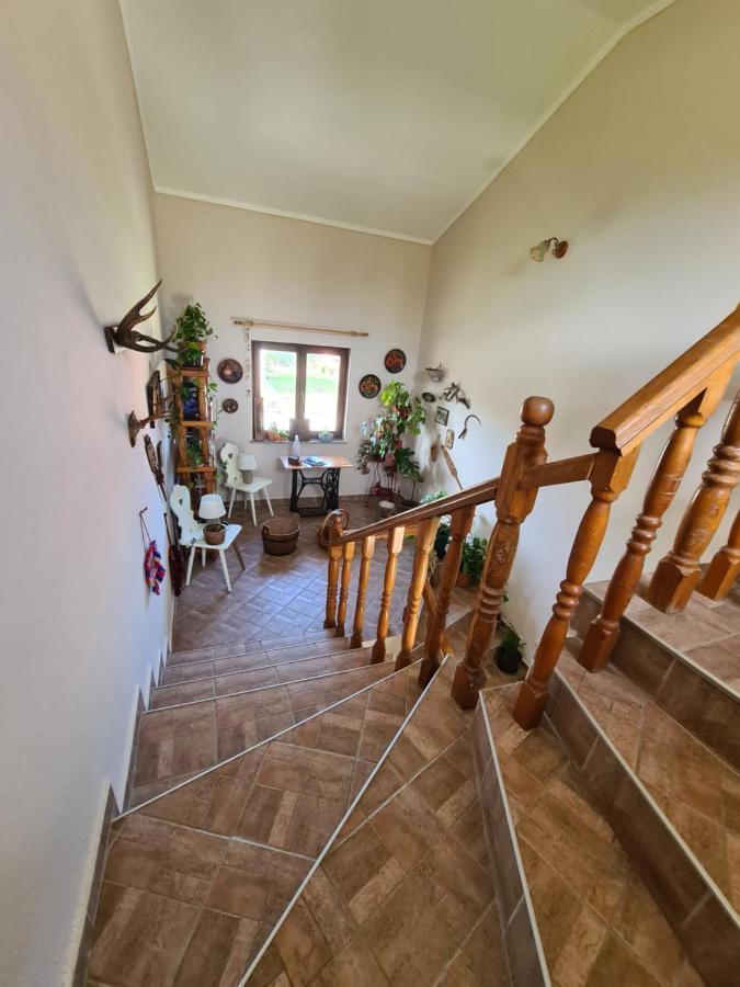Apartment Bepo Gospic