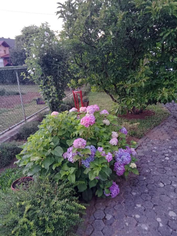 Bepo Apartment Gospic