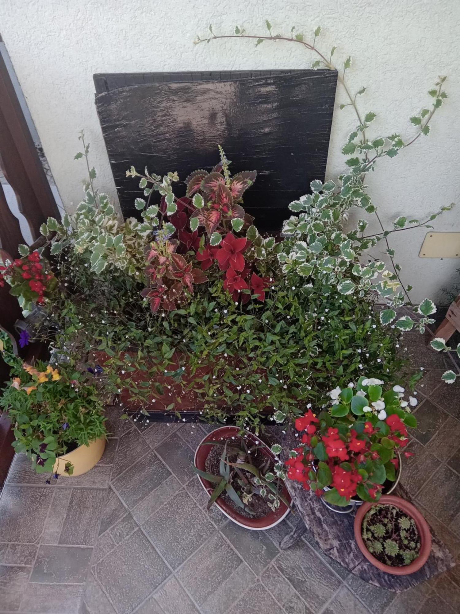 Apartment Bepo Gospic